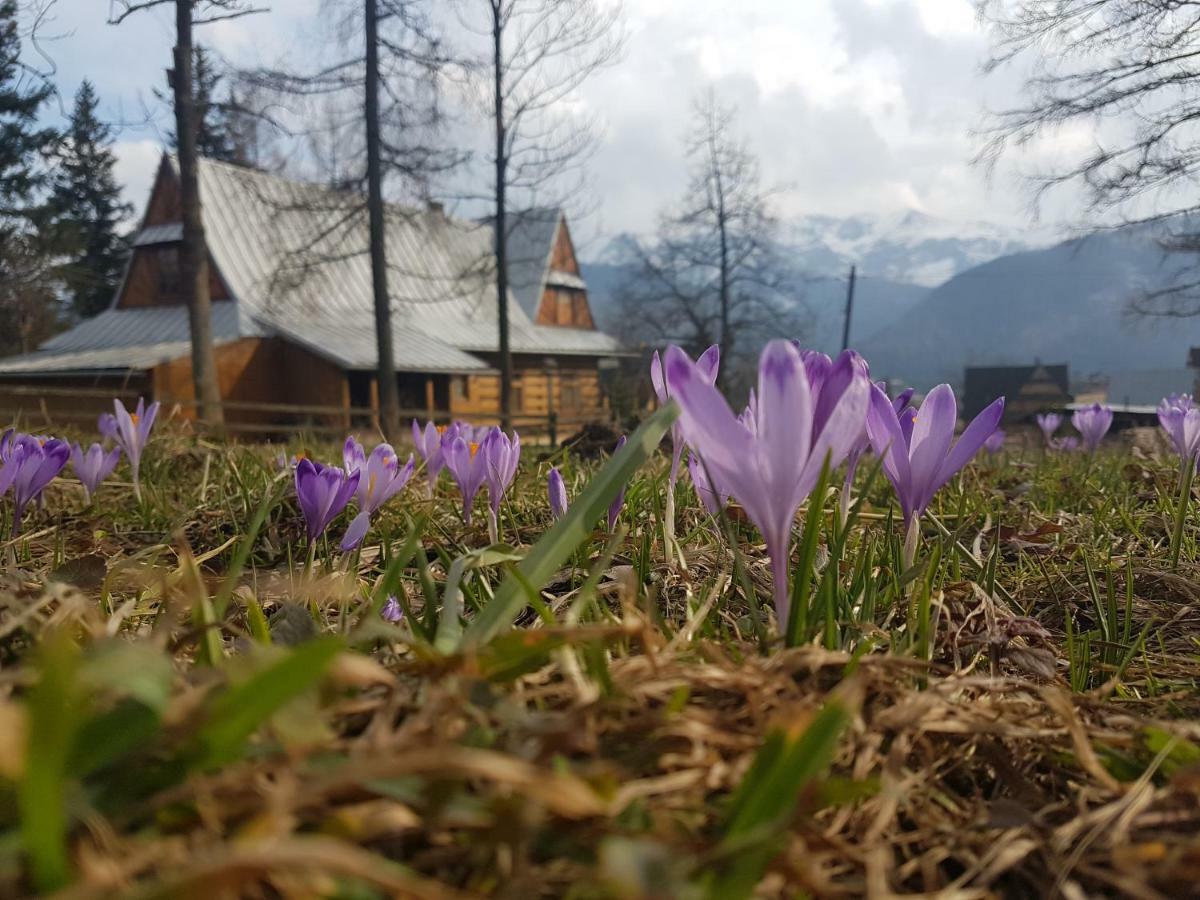 Apartament Sielanka, Basen Koscielisko Luaran gambar